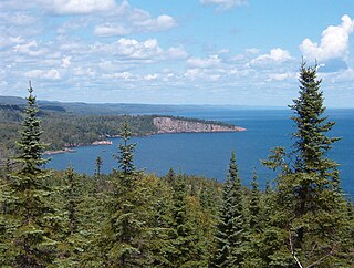 <span class="mw-page-title-main">Boreal ecosystem</span> Subarctic terrestrial ecozone