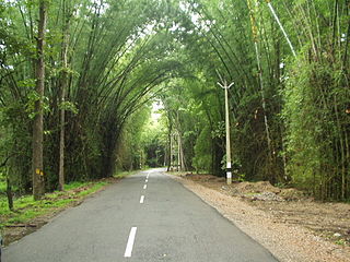 <span class="mw-page-title-main">Tourist attractions in Wayanad</span>