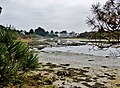 Le fond de la Rivière du Sac'h à marée basse ; à l'arrière-plan le moulin du Sac'h.