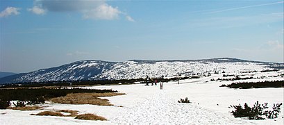 Die Elbwiese in Nähe der Elbquelle