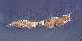 <span class="mw-page-title-main">Abd al Kuri</span> Second largest of four islands of the Socotra Archipelago, Yemen