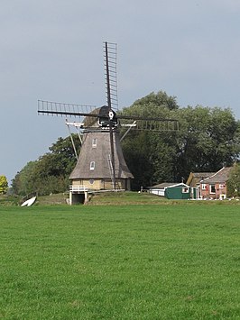 De Grote Molen