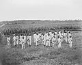 Image 24Juvenile African-American convicts working in the fields in a chain gang, photo taken c. 1903 (from Civil rights movement (1896–1954))