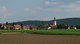 Gorišnica – Veduta