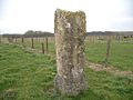 Le menhir des Demoiselles.