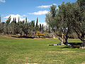 Campus of Midreshet Ben Gurion