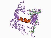 PDB 1ba6 EBI.jpg