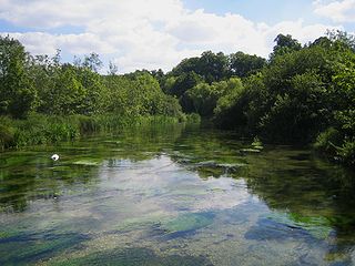 <span class="mw-page-title-main">River Itchen, Hampshire</span> River in Hampshire, England