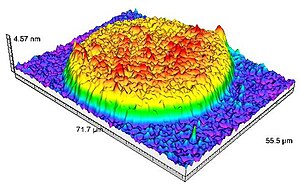 3D Sarfus image of a DNA biochip Sarfus.DNABiochip.jpg