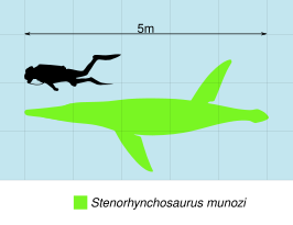 Stenorhynchosaurus