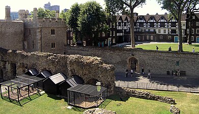 Klatki dla kruków na terenie Tower of London