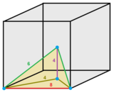 Triangular pyramidille cell1.png