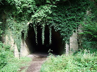 <span class="mw-page-title-main">Coleford, Monmouth, Usk and Pontypool Railway</span>