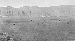 <span class="mw-page-title-main">Battle of Yongsan</span> 1950 military engagement of the Korean War