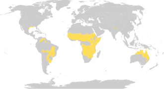 Description de l'image Biome_map_07.svg.