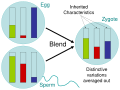 Image 39Blending Inheritance (from History of genetics)