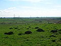 Boyd's Hill summit, looking south