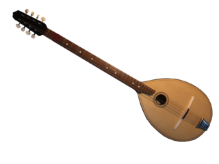 <span class="mw-page-title-main">Balkan tambura</span> Stringed instrument