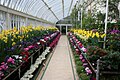 Palm House, Botanic Gardens, Belfast