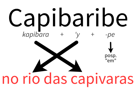 Capibaribe: kapibara + 'y + -pe. Por vezes, o morfema -pe realiza-se em -be no português.