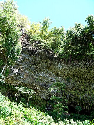 <span class="mw-page-title-main">Fern Grotto</span> Cave in Hawaii