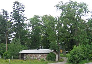 <span class="mw-page-title-main">Hagby Runestones</span>