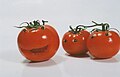 Tomaten-Witz / Tomatoe joke