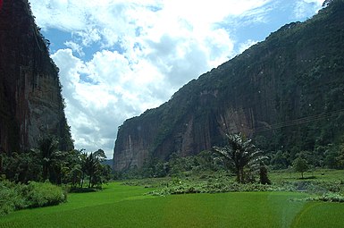 Traoñienn Harau e Sumatra ar C'hornôg, en Indonezia