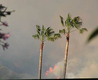 <span class="mw-page-title-main">Jesusita Fire</span> 2009 wildfire in Santa Barbara, California