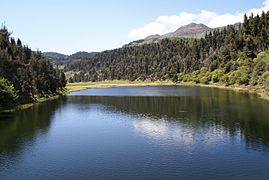 Umjerena okeanska klima sa sušnim razdobljima (Cwb), Cordillera de Mérida