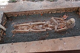 Scheletro di un colono spagnolo scoperto nel cimitero di La Isabela