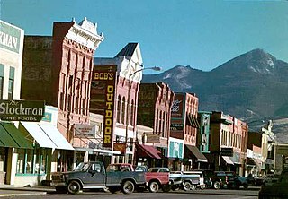 <span class="mw-page-title-main">Livingston, Montana</span> City in Park County, Montana, United States