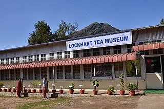 <span class="mw-page-title-main">Lockhart Tea Museum</span> Tea museum, industry and history museum in Idukki district Kerala, India