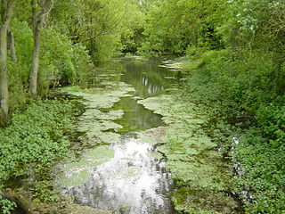 <span class="mw-page-title-main">River Meon</span> River in Hampshire, England