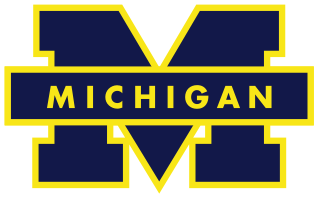 <span class="mw-page-title-main">2010 Michigan Wolverines football team</span> American college football season