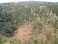 La caldera verso ovest con il palmento presso gli alti pini