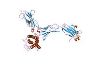 PDB 1i1r EBI.jpg