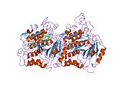 PDB 1tub EBI.jpg