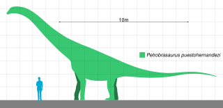 <i>Petrobrasaurus</i> Extinct genus of dinosaurs