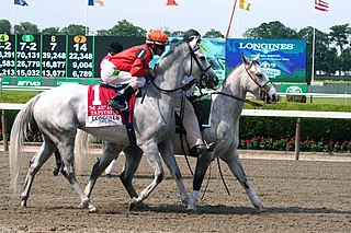 <span class="mw-page-title-main">Tapitsfly</span> American-bred Thoroughbred racehorse