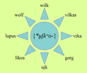 Ilustracja. Seledynowe tło. Napisy zgodnie z ruchem zegara: wilk, vilkas, vṛka, gorg, ujk, líkos, lupus, wolf