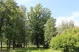 Parc de la culture et des loisirs.