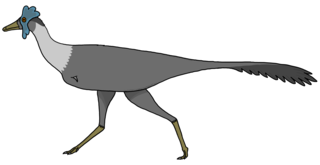 <i>Bonapartenykus</i> A large alvarezsauroid dinosaur