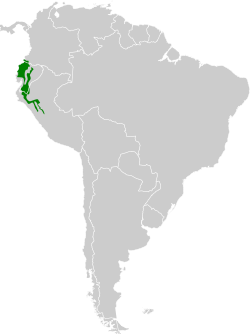 Distribución geográfica del colibrí abejorro