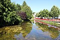 Berges de la Saulx.