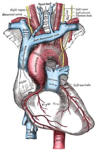 <span class="mw-page-title-main">Ortner's syndrome</span> Medical condition