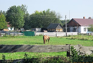 Сільська хата з присадибною ділянкою