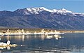 Lee Vining Peak (centered) seen from Mono Lake. Mount Warren to right.