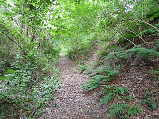 <span class="mw-page-title-main">Marehill Quarry</span>