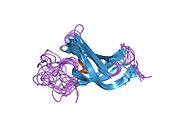 PDB 1h95 EBI.jpg